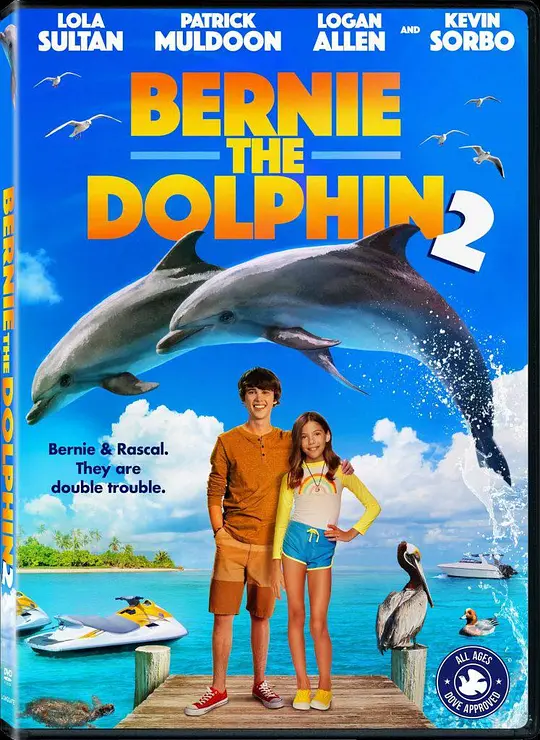 海豚伯尼2 2019 海豚伯尼2 2019